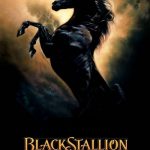 دانلود سریال The Adventures of Black Stallion